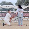 Предложиха брак в конната база в Алтимир СНИМКИ