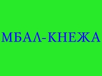 Кнежанската болница е стабилна