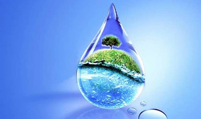 Ñ êîíêóðñ çà åñå è ðèñóíêà âúâ Âèäèí ùå îòáåëåæàò Ñâåòîâíèÿ äåí íà âîäàòà