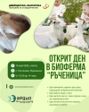 Ден на отворените врати в биоферма „Ръченица“