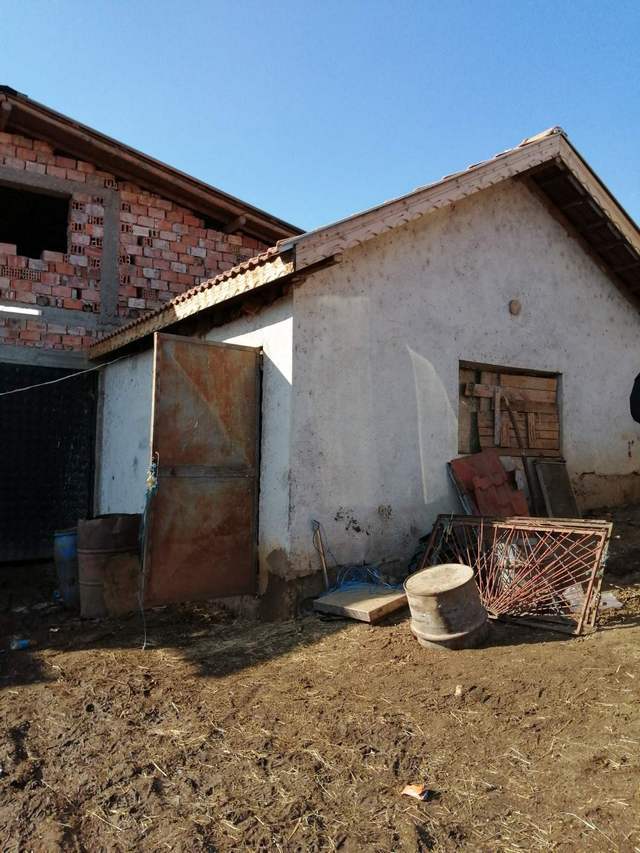 Разбиха нелегален цех за тютюн в Белослатинско