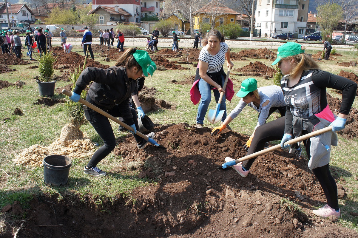 Нова гора засадиха стотици врачани в жк Металург