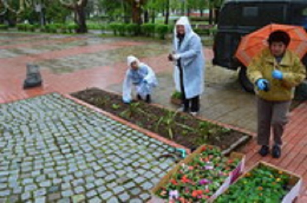 Почистиха и озелениха Вършец