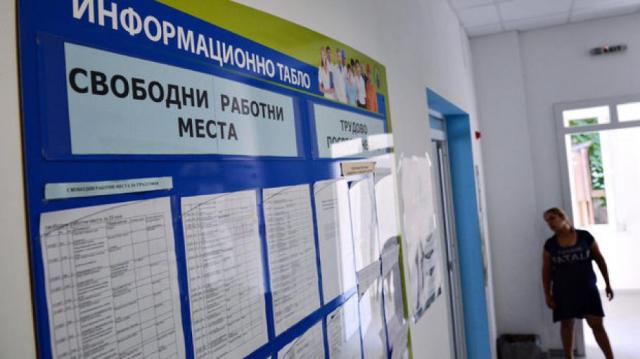 Държавни институции търсят безработни висшисти