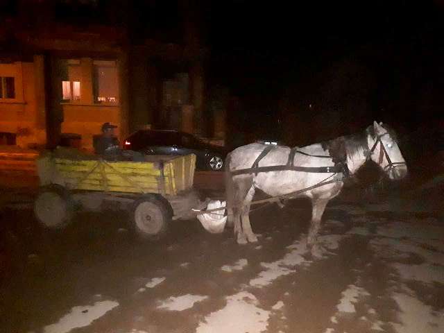 Конфискуваха кон и каруца, засечени в центъра на Враца