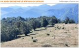 Камера на живо показва времето във Врачански Балкан