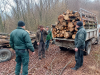 Разбиха незаконен добив на дървесина край Буковец