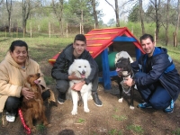В Мездра отвори врати полигон за обучение на кучета 