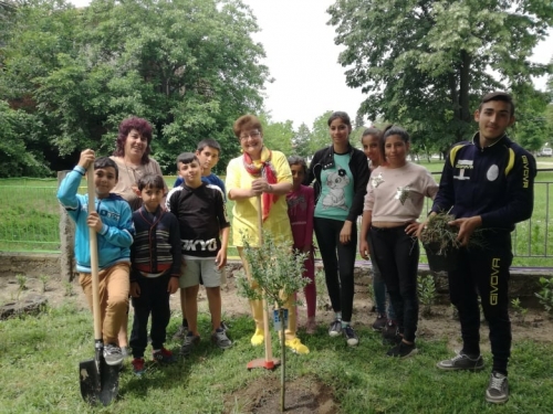 Селановски ученици засадиха дръвче