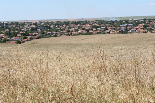 Заради сушата правят молебен за дъжд в Кнежа