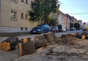 Доставиха дърва за огрев в детски градини и кметства в Мездра