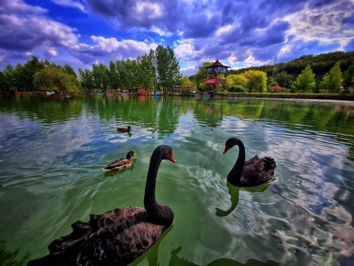 Уникален парк привлича туристи  с езера, животни и хубав ресторант