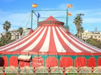Един от най-известните циркове на гости в Бяла Слатина