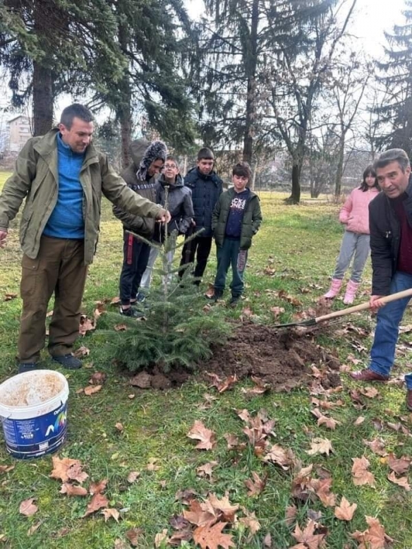 Ученици засадиха коледни дръвчета в парк /СНИМКИ/