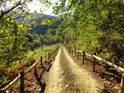 Èçãðàæäàò óíèêàëíà åêîïúòåêà êðàé Êóíèíî