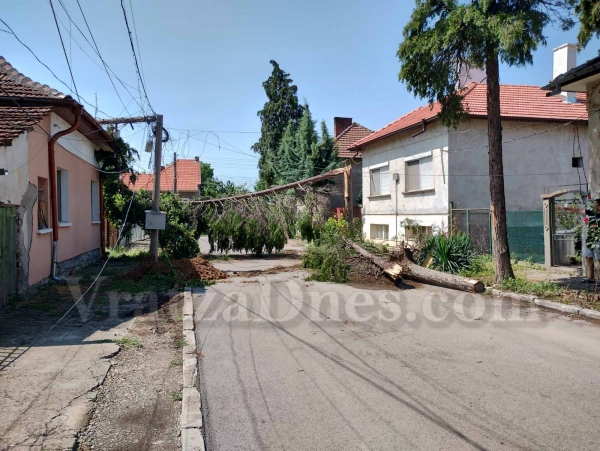Екипи отстраняват щетите от бурята в Бяла Слатина и Търнава /СНИМКИ/