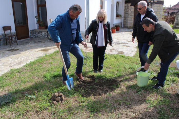 Кмет засади круша в двора на църква