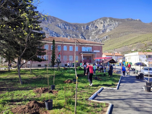 Още 100 дървета раззеленяват Враца, Бистрец и Кулата