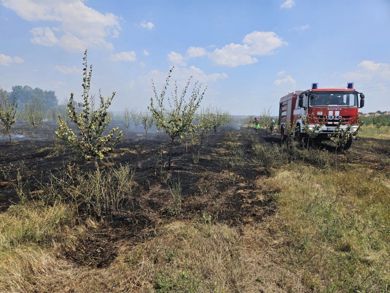 Пожар изпепели овошки в белослатинско