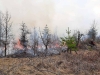 107 горски пожара бушуваха на територията на Северозападно държавно предприятие