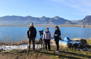 Еколози броят юбилейно зимуващите водолюбиви птици