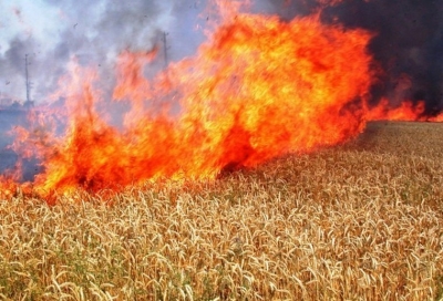 Силен пожар бушува във Врачанско