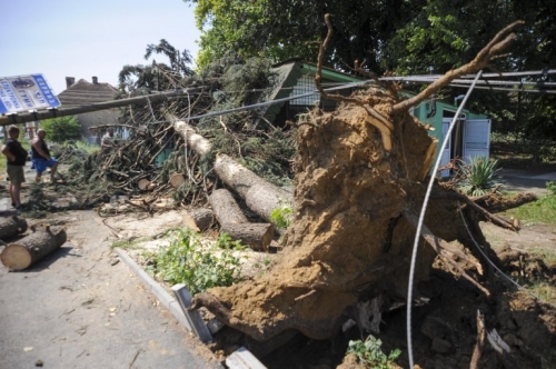 Описват щетите от бурята в Белослатинско