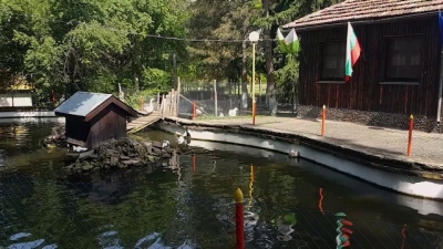 Зоопаркът в Кнежа увеличи обитателите си