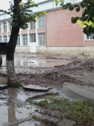 сн:7