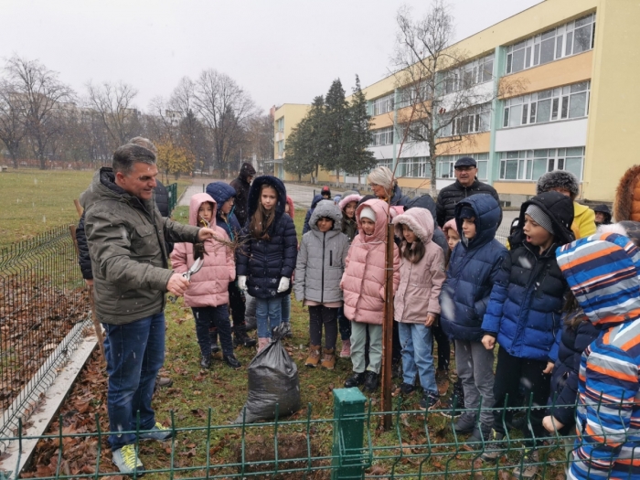 Малчугани и горски залесиха училищен двор