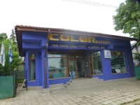 COLOR EXPERT -      