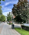 Калин Каменов обеща повече зеленина след ремонта на Пробива