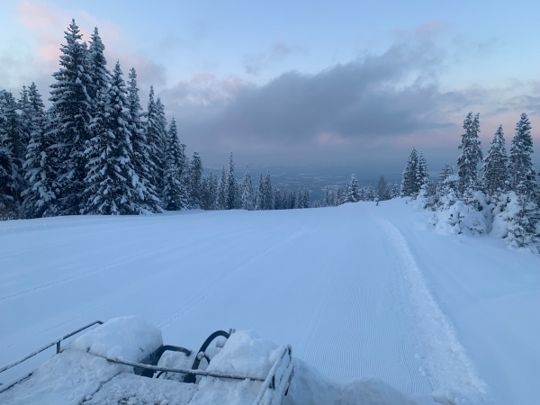 Прекрасни условия за ски на Ком, продължават безплатните курсове за деца /СНИМКИ/