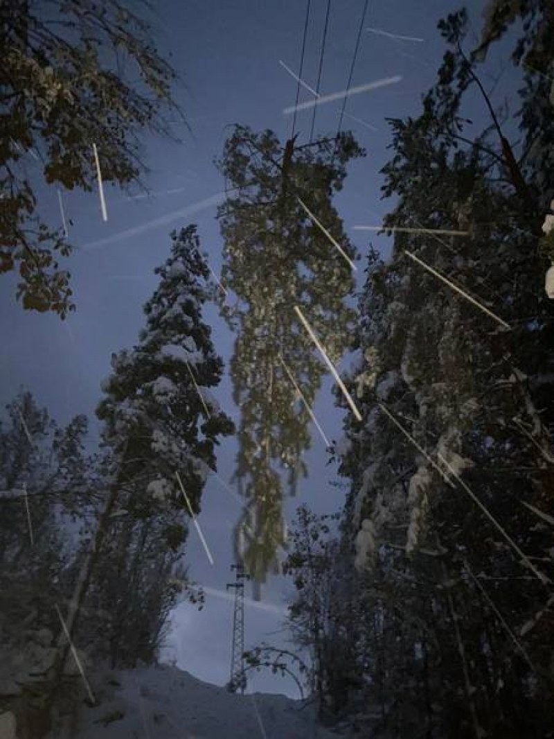 Минусовите температури, обледяванията и падналите дървета затрудняват работата на дежурните екипи