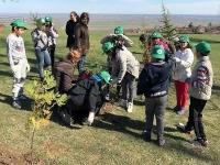 140 дръвчета засадиха деца в Оряхово