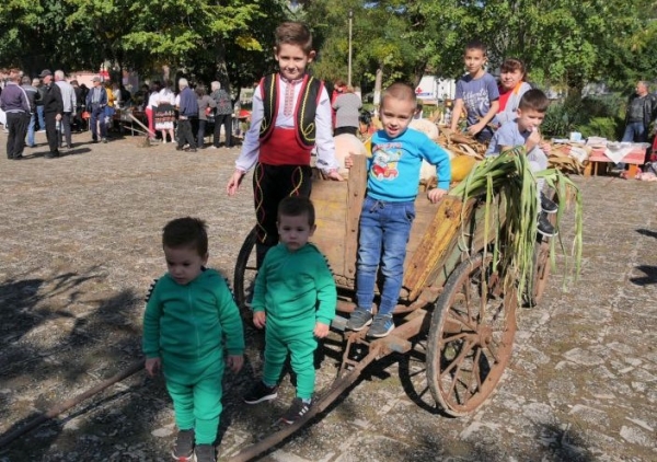 Близнаците Ивайло и Вериан бяха сред най-малките крушовчани, които се забавляваха на писаната каруца с богатите дарове на есента