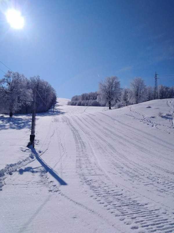 Има условия за ски на Пършевица