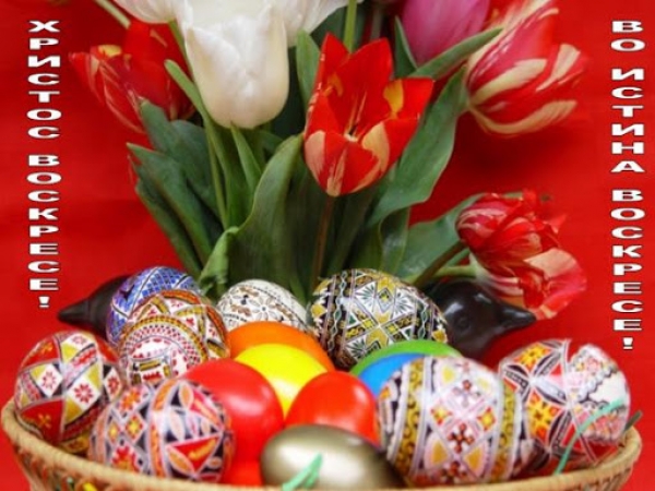 Поздравление от изпълнителния директор на СБДПЛББ-Роман Пепа Владимирова