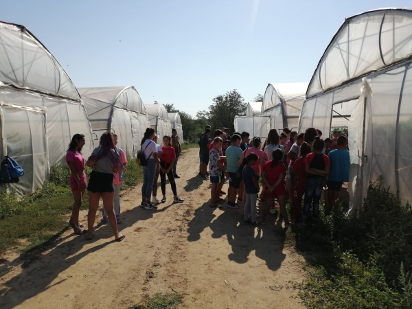 Ученици посетиха голямо земеделско стопанство