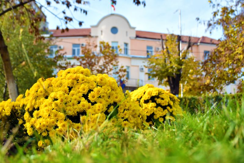 Общински съветници дариха заплати за градски часовник