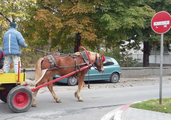 Забраняват каруци в центъра на Козлодуй