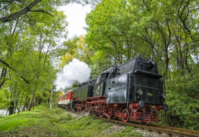 Парният локомотив Баба Меца пристига в Мездра