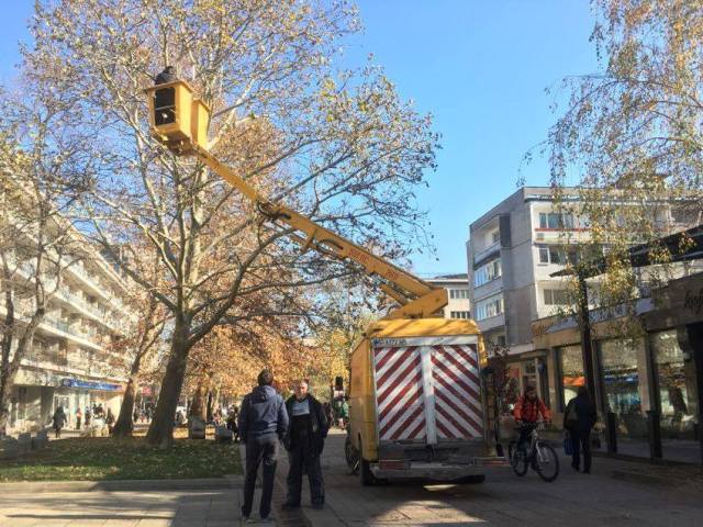 Слагат коледната украса във Враца