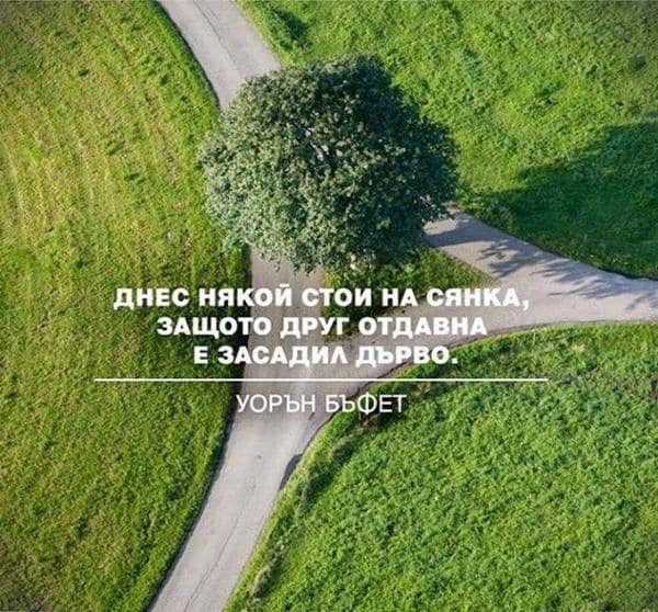 Масово залесяване правят край Чипровци