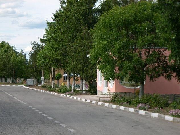 Разкрасяват Липница с общински пари