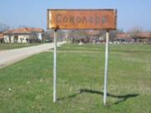 Вдигат паметник на сокол в белослатинско
