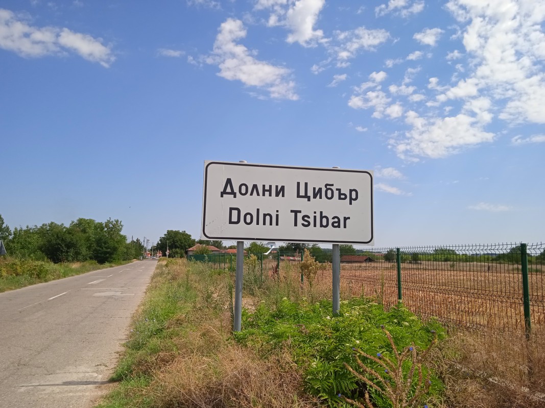 Огнище на Африканска чума откриха в монтанско село