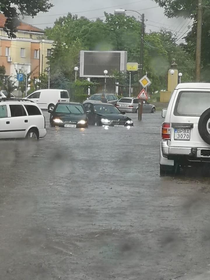 Паднали дървета и наводнени мазета след пороя в Козлодуй
