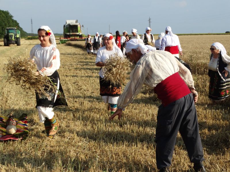 С красив ритуал откриха жътвата в Расово