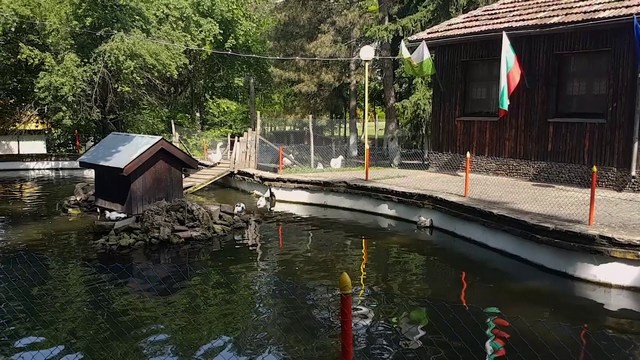 Зоопаркът в Кнежа увеличи обитателите си